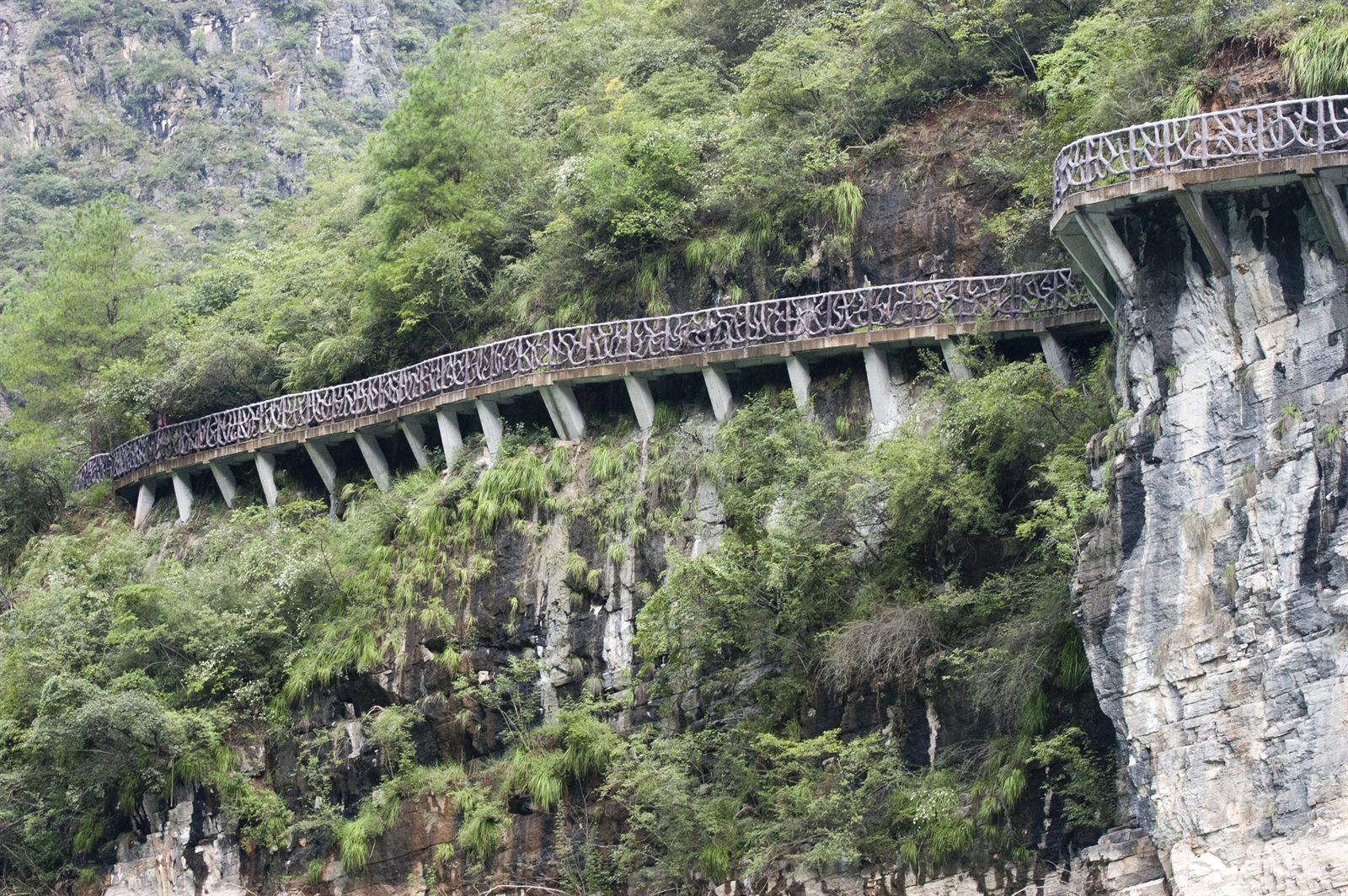 A walkway cut into a sheer limestone cliff above a forested gorge in China’s Yangtze region